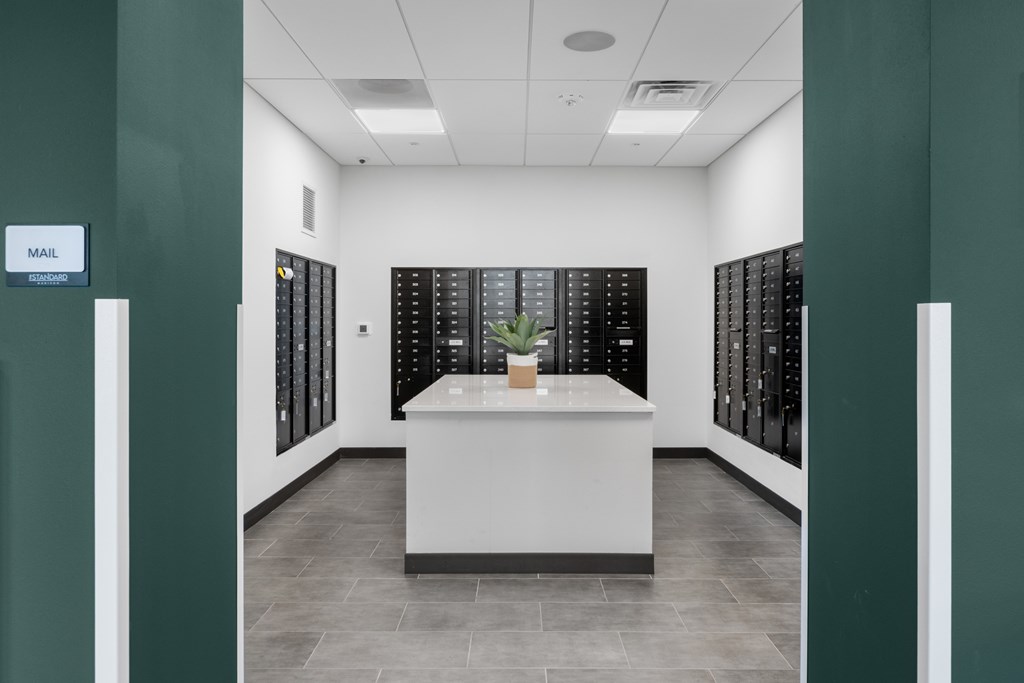 a view of the archive room with a white countertop and a potted plant in the